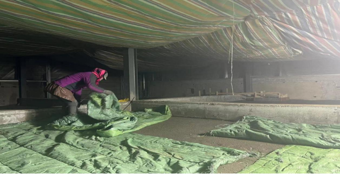 202312071701939317964994.png image.png